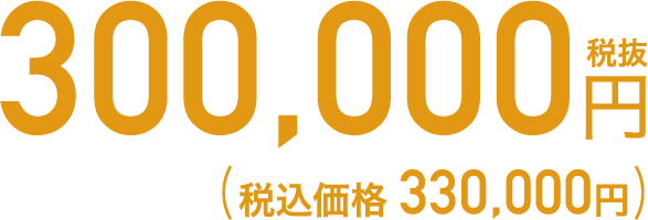 300,000円税込(税込価格 330,000円)