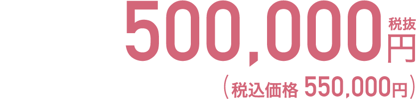 500,000円税込(税込価格 550,000円)