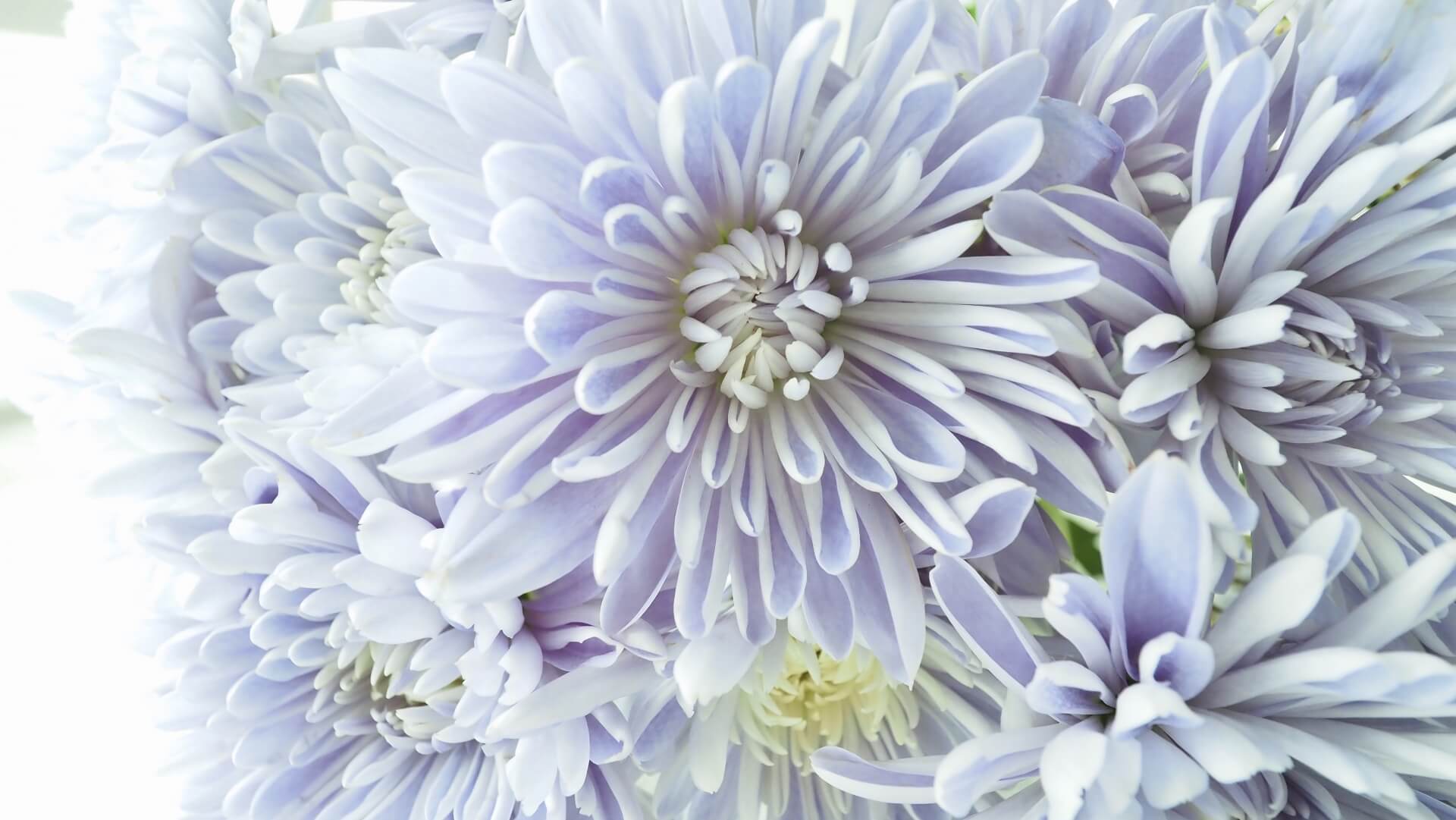 お悔やみの言葉に迷ったとき――失礼にならない考え方