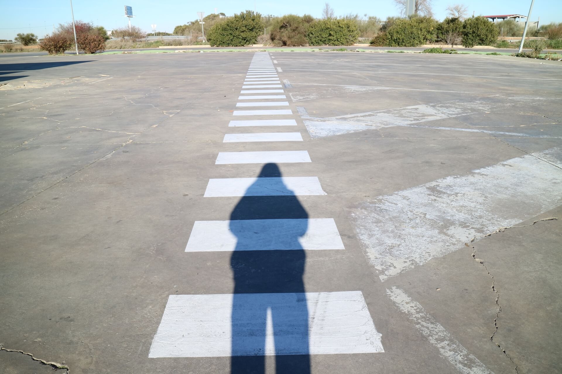 判断の前に「何を大切にしたいか」を整理する