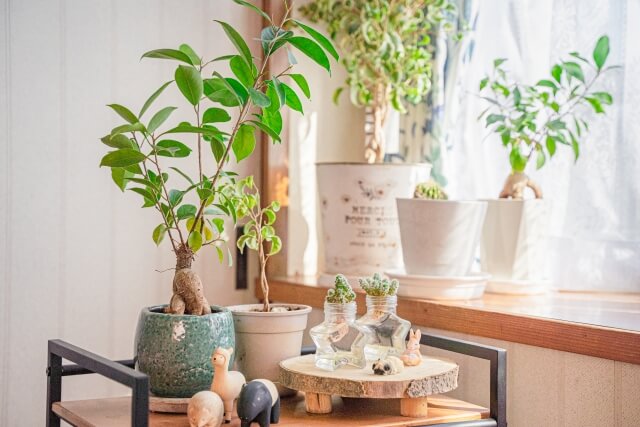 シンプルな暮らしのイメージ