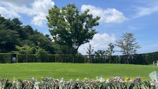 樹木や草花に囲まれた樹木葬墓地
