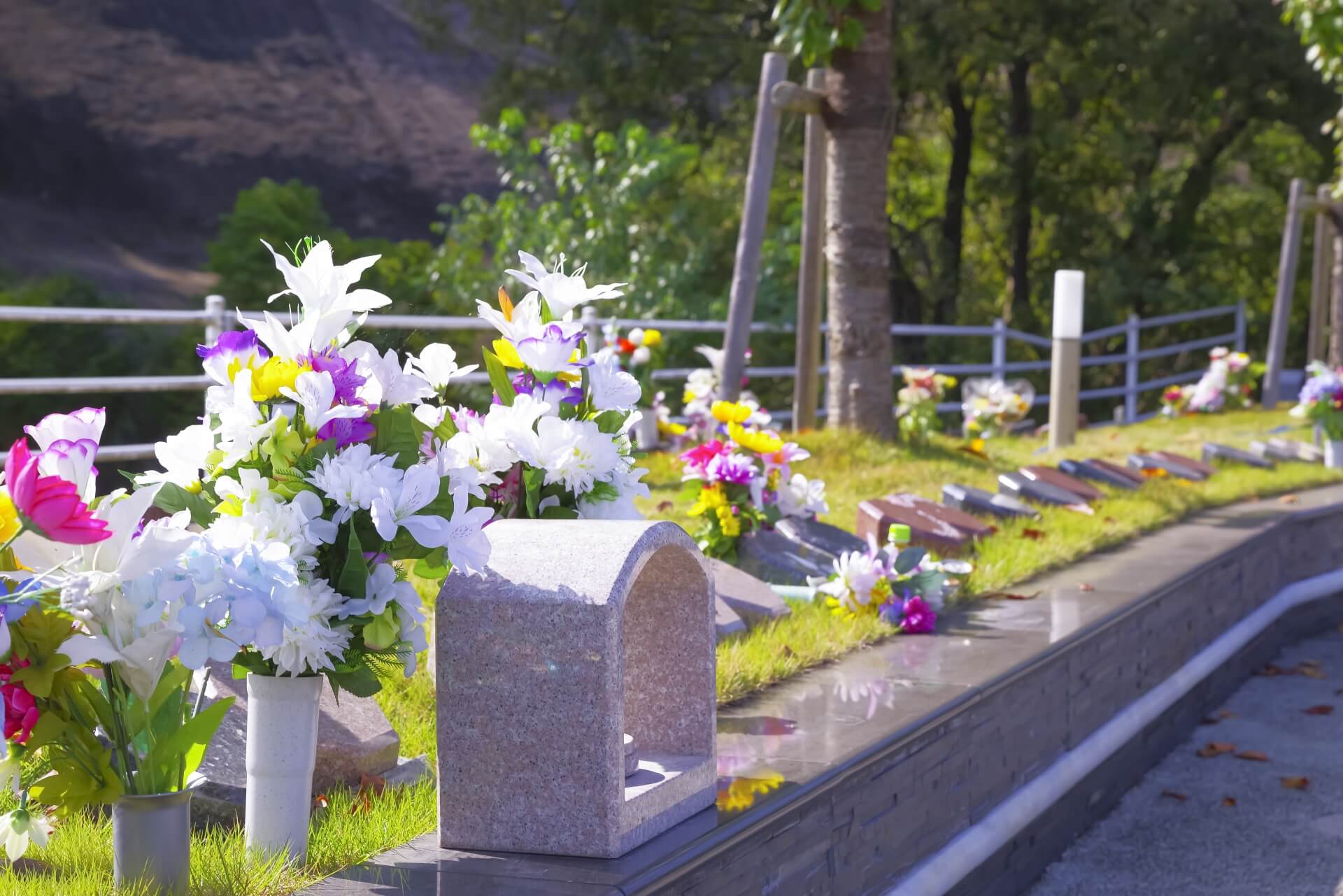 自分の供養先はどう探す？――永代供養・樹木葬・海洋散骨を希望するときの考え方
