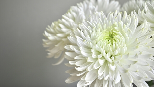 弔意（ちょうい）とは